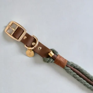 Collier tressé pour chien - Vert kaki