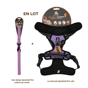 Lot Harnais Lila + Laisse Spotted! Pro