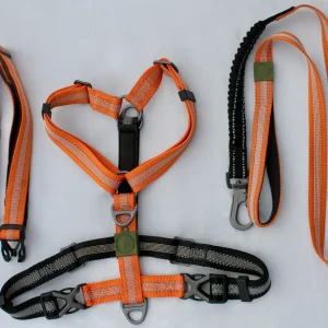 Kit Strong Adventure : Harnais + Collier + Laisse Amortisseur – Mandarine 🍊🏕