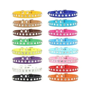 Collier en Cuir pour Petit Chien