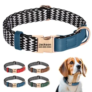 Collier pour Chien en Nylon avec des Rayures