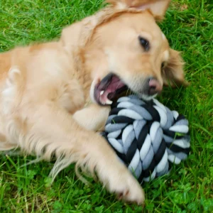 Balle en Corde DentaCool Ultra-tressée - Jeu de l'EXTREME 2kg