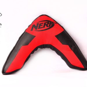 Boomerang NERF™