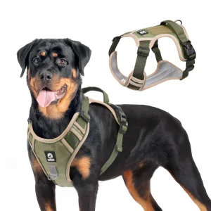 Kelvra Harnais Réfléchissant pour Chien