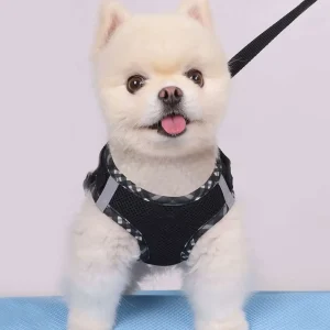 Norvyl Harnais Anti-Traction avec Laisse pour Chien