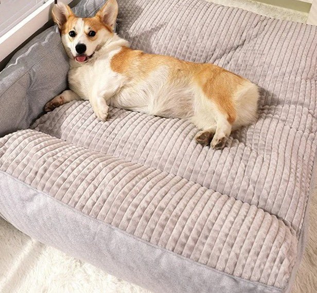 Canapé pour chien | Royal Confort – Image 8