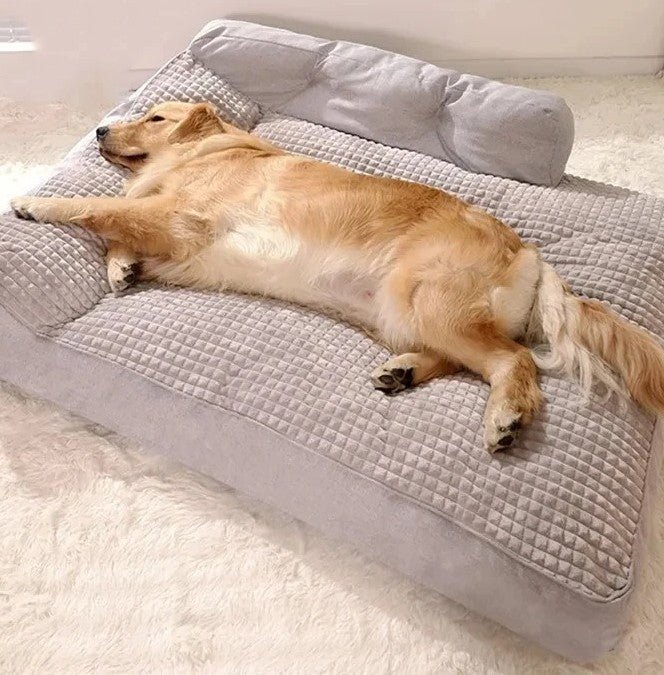 Canapé pour chien | Royal Confort – Image 6