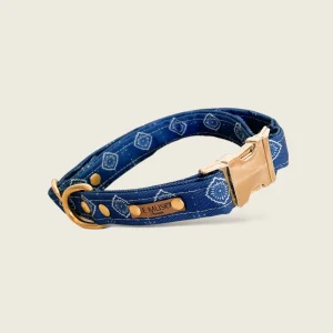 Collier Astro pour chien