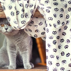 Écharpe Bouilles de chats