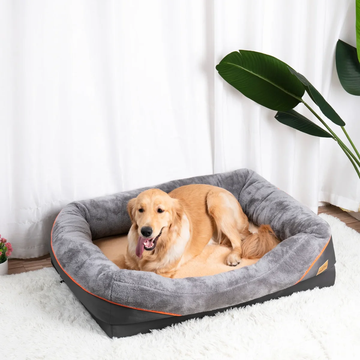 Canapé pour chien XXL | Ultra-Confortable & Résistant – Image 4