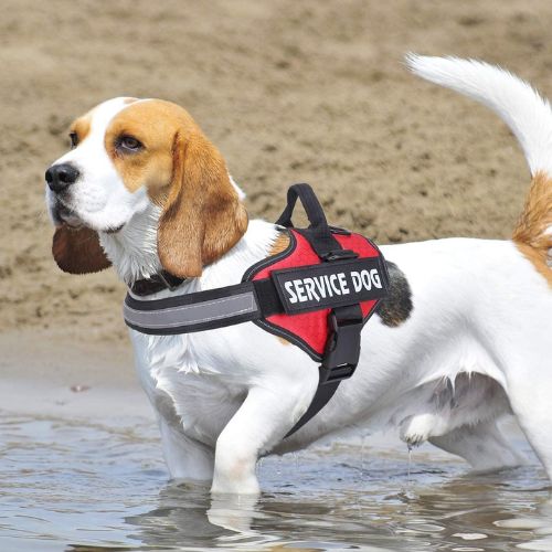 HARNAIS CHIEN ANTI TRACTION | SAFETY ONE™ – Image 2