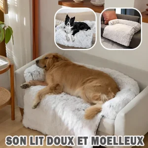 Lit Protège-Canapé pour Chien | SofaShieldNest™ - Moelleux et Apaisant