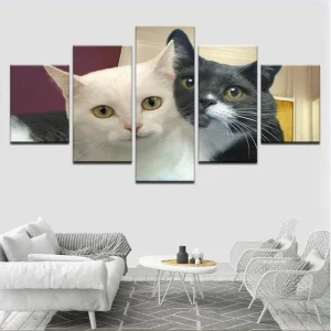 Tableau Chat  Blanc et Noir