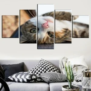 Tableau Chat  Sur le Dos