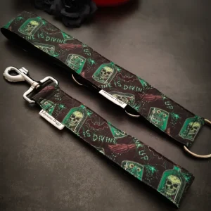 "Don't drink me" Collier pour chien sombre et symbolique
