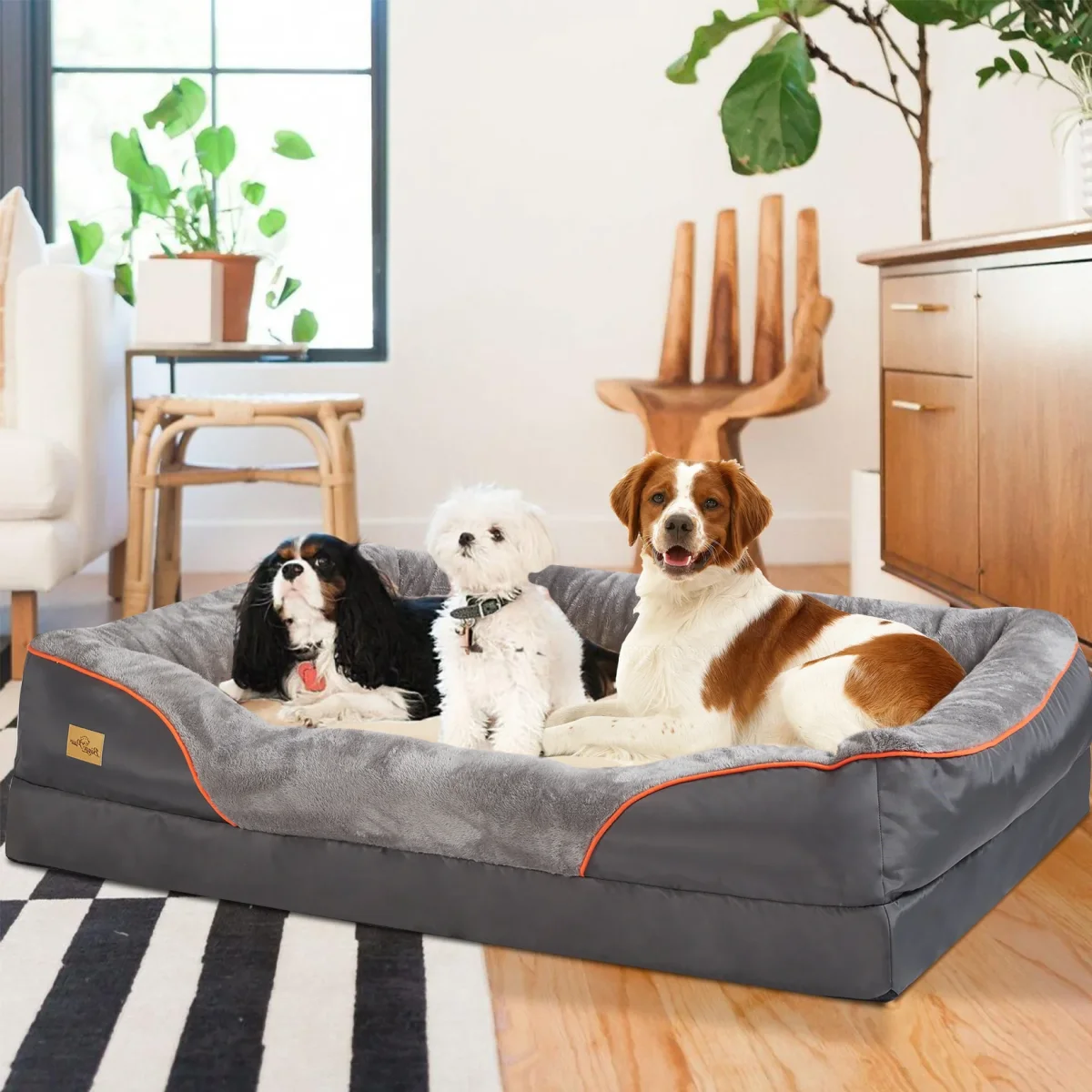 Canapé pour chien XXL | Ultra-Confortable & Résistant – Image 5